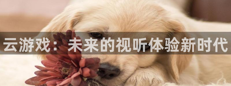 杏宇娱乐登录官网网址是什么：云游戏：未来的视听体验新时代