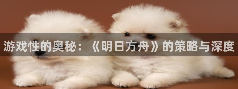 杏宇娱乐平台最新版下载