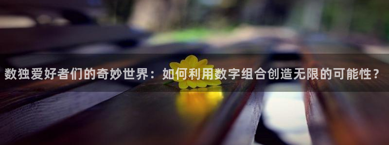 杏宇总代理