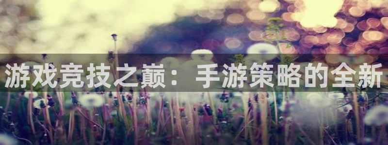 杏宇