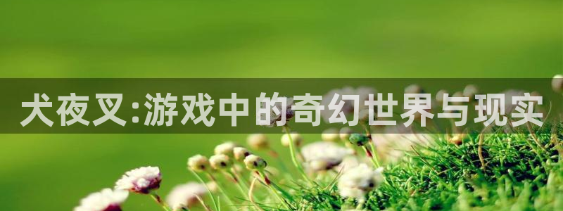 杏宇平台登陆入口地址：犬夜叉:游戏中的奇幻世界与现实