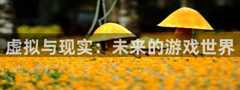 杏宇娱乐总代理