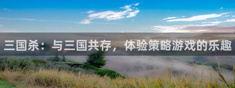 杏宇娱乐平台最新版下载安装手机：三国杀：与三国共存，体验策略